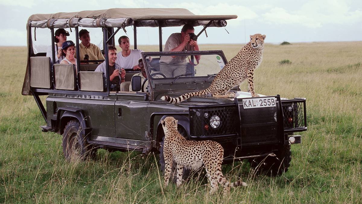 masai-mara-safari