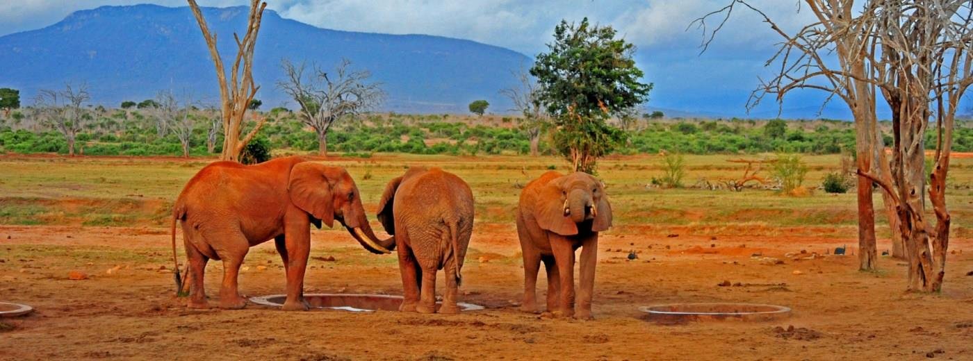 Tsavo-National-Park